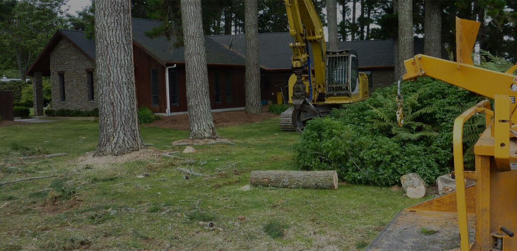About Tree Menders | Trusted Gold Coast Arborists & Tree Care