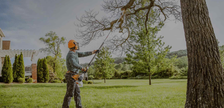 Tree Care Gold Coast | Tree Menders Tree Care